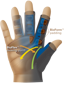 Harbinger BioForm™ Glove - Mavi için detaylar