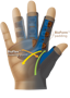 Harbinger BioForm™ Glove - Gri için detaylar